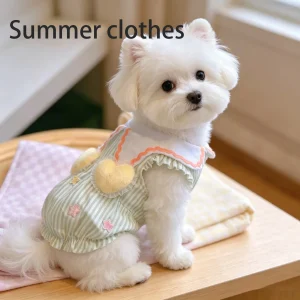 Summer Clothes For Small Dogs
