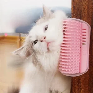 Cat Scratcher Massage Comb with Catnip